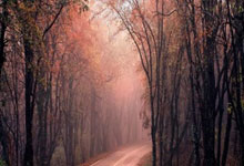 lol全球总决赛-南韩男篮力克76人，哈登三分雨点燃全场——篮球场上的精彩对决与无限可能