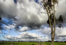 lol战绩查询-G2碾压FLY，Zeus爆发神勇：竞技巅峰的震撼瞬间