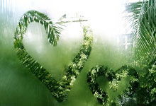 lol全球总决赛-南韩男篮力克76人，哈登三分雨点燃全场——篮球场上的精彩对决与无限可能