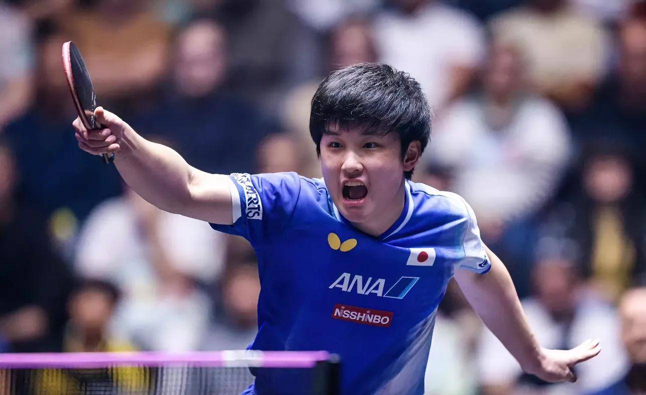 英格兰队绝杀日本队，张本智和状态火热